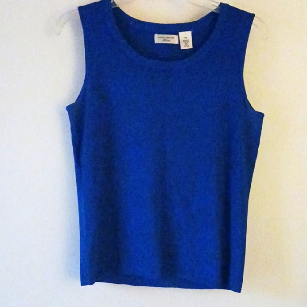 Eye Catching Blue Sleeveless Sweater